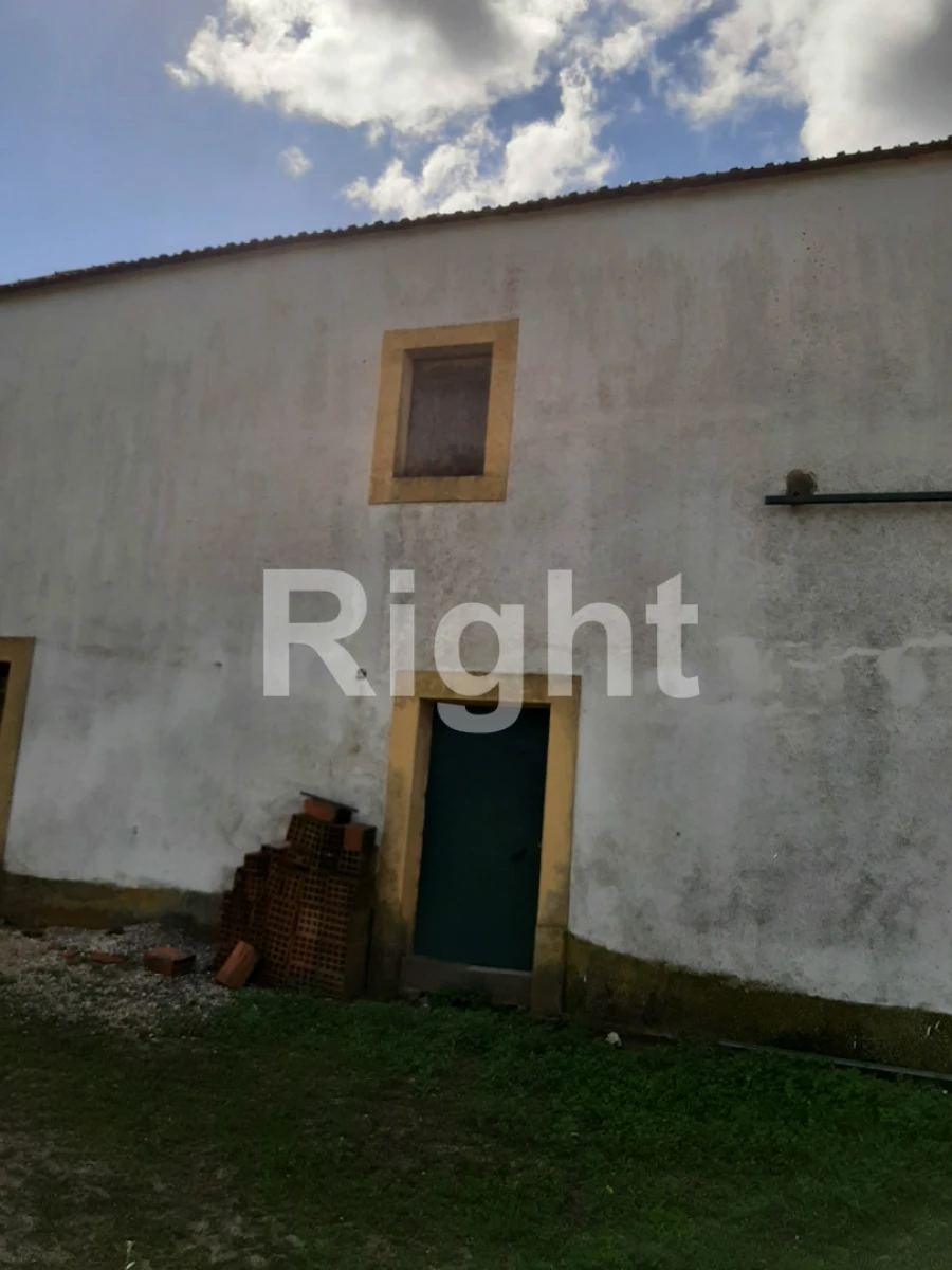 Moradia T3 para Venda em São Vicente do Paul e Vale de Figueira Foto 17