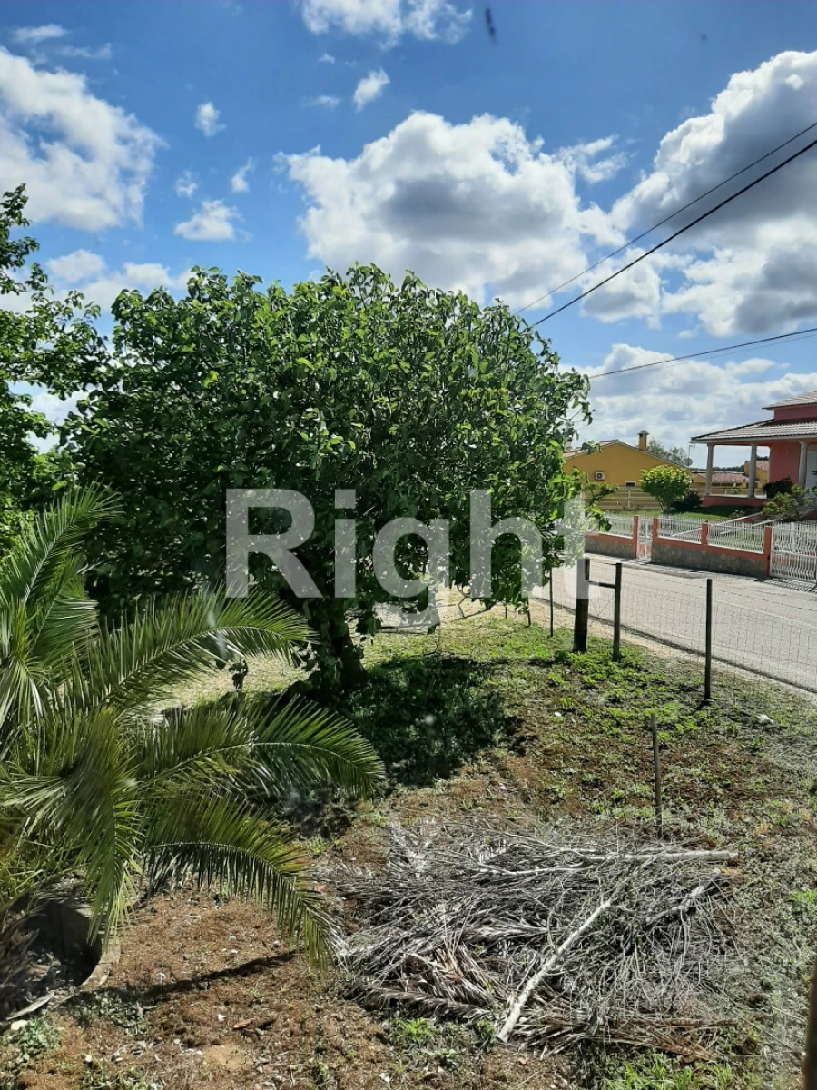 Moradia T3 para Venda em São Vicente do Paul e Vale de Figueira Foto 2