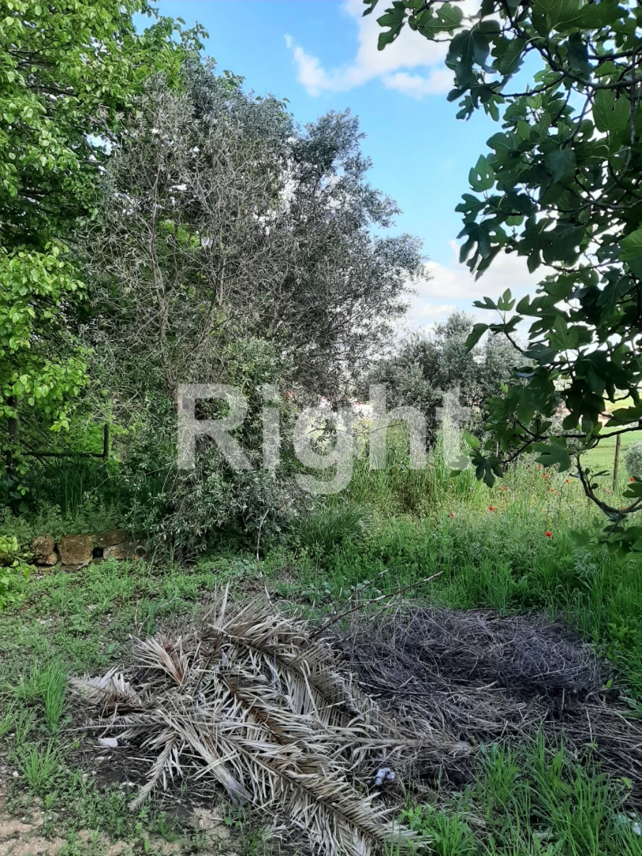 Moradia T3 para Venda em São Vicente do Paul e Vale de Figueira Foto 25