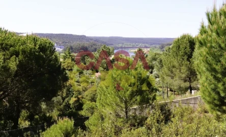 Terreno para Venda em Constancia