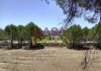 Terreno para Venda em Constancia