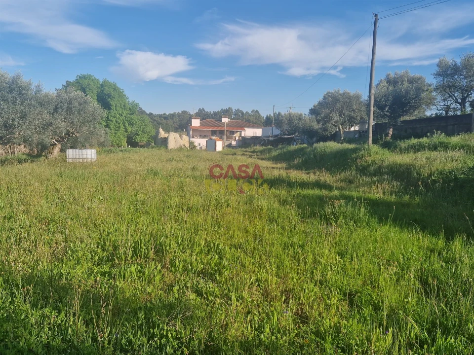 Terreno para Venda em Asseiceira Foto 8