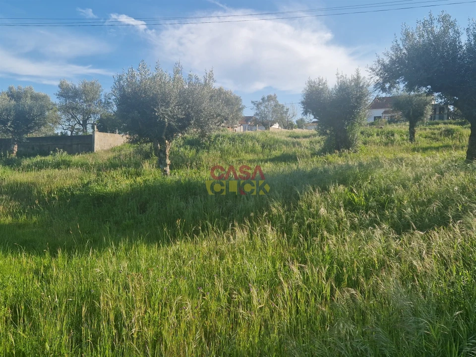 Terreno para Venda em Asseiceira Foto 3