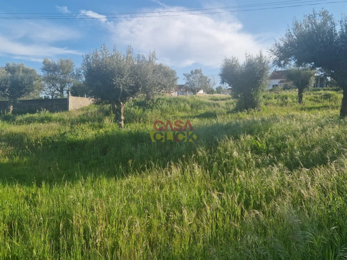 Terreno para Venda em Asseiceira Foto 3