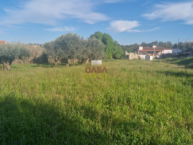 Terreno para Venda em Asseiceira Foto 6