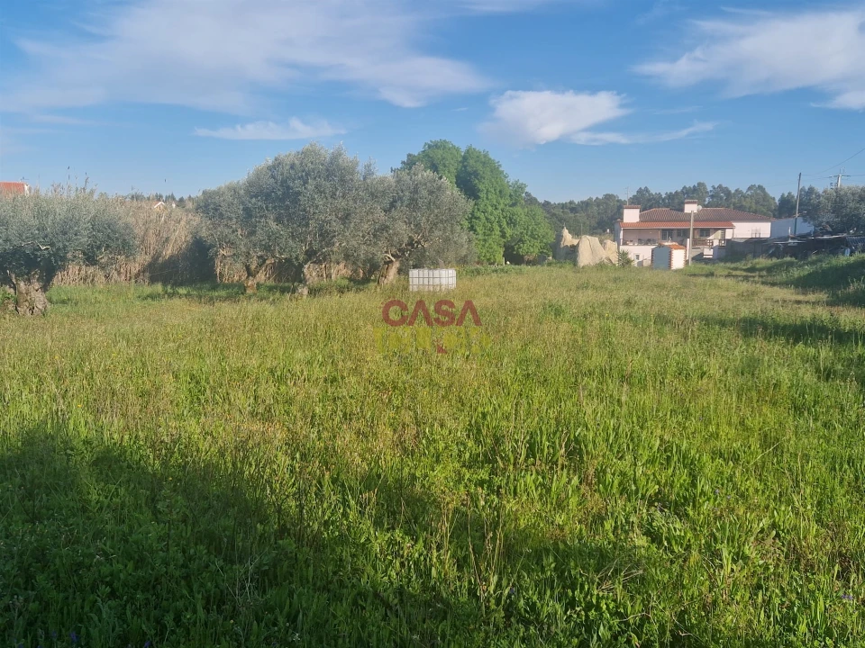 Terreno para Venda em Asseiceira Foto 6