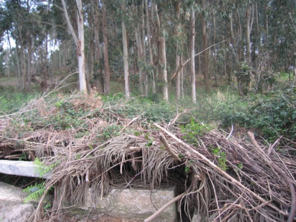 Terreno para Venda em São Felix da Marinha Foto 8