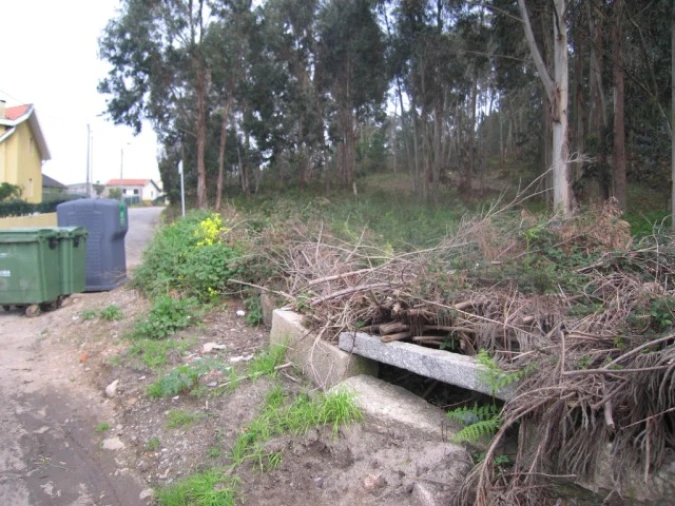 Terreno para Venda em São Felix da Marinha Foto 5