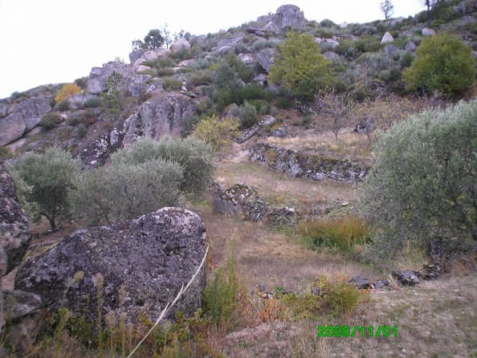 Terreno para Venda em Pereiros Foto 4