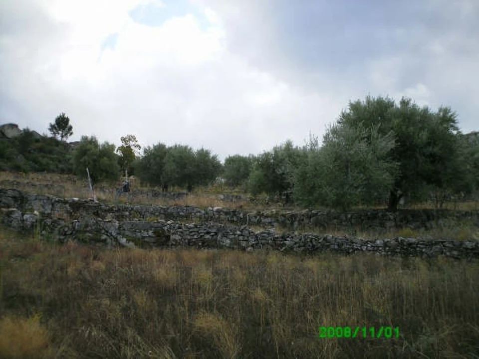 Terreno para Venda em Pereiros Foto 5