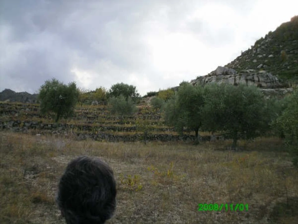 Terreno para Venda em Pereiros Foto 7