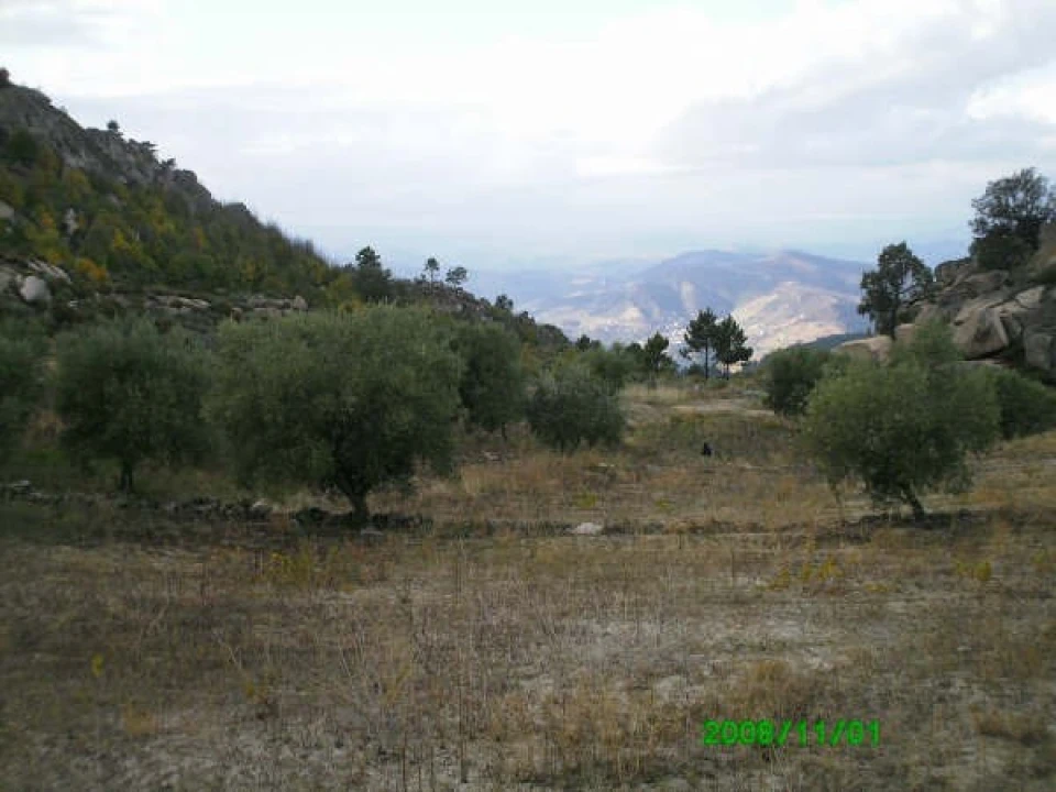 Terreno para Venda em Pereiros Foto 8