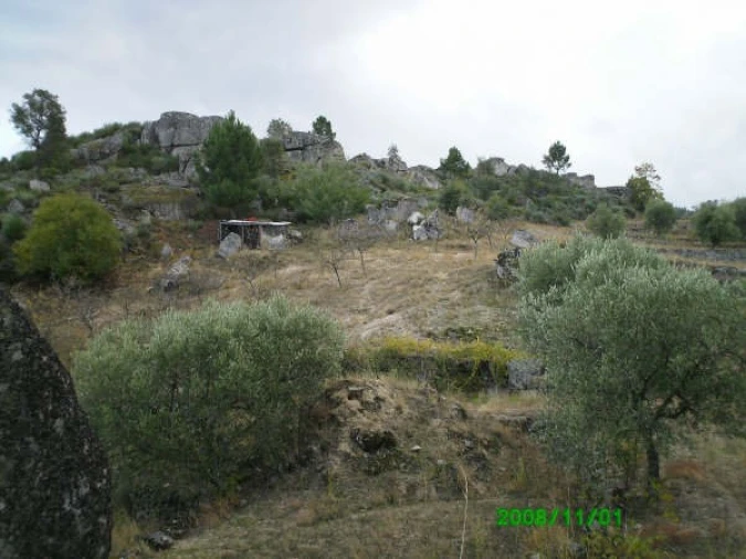 Terreno para Venda em Pereiros Foto 1