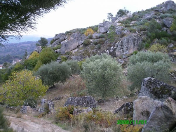 Terreno para Venda em Pereiros Foto 3