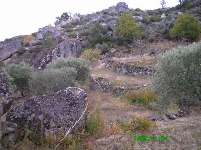 Terreno para Venda em Pereiros Foto 4