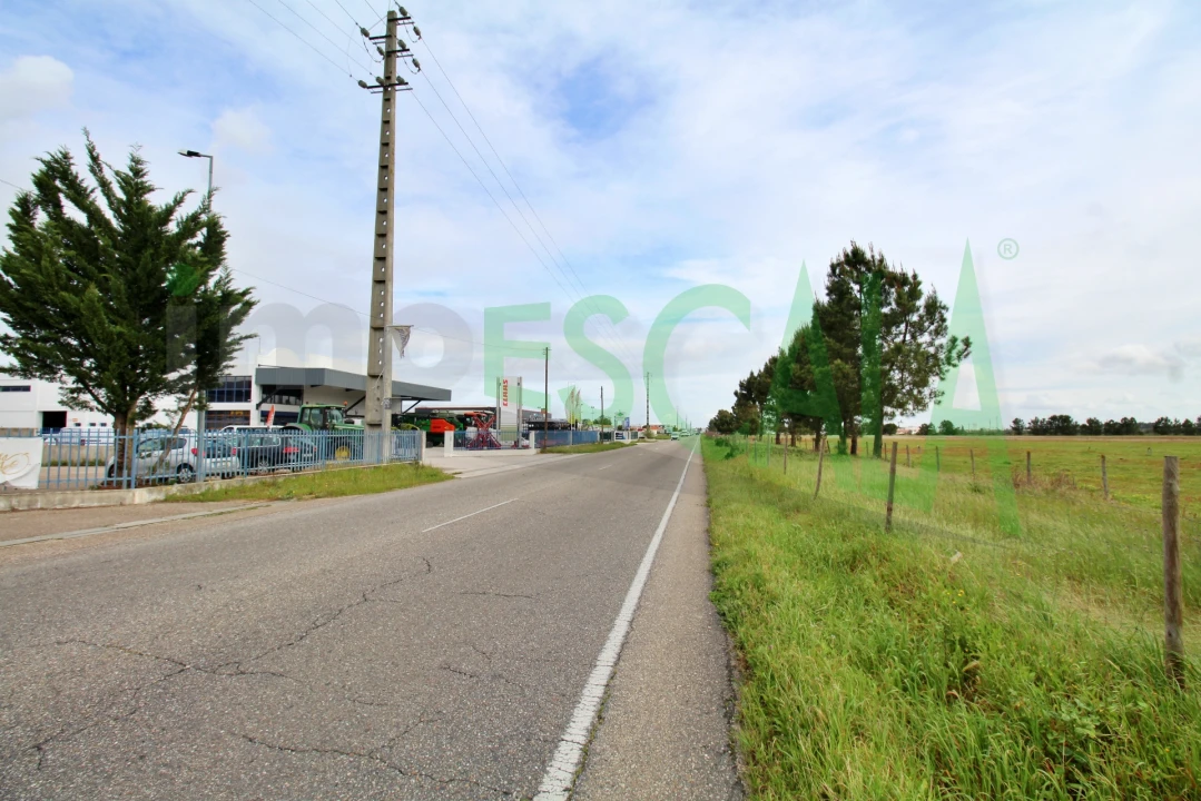 Armazém para Venda em Salvaterra de Magos e Foros de Salvaterra Foto 51