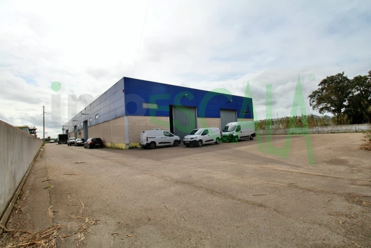 Armazém para Venda em Salvaterra de Magos e Foros de Salvaterra Foto 46