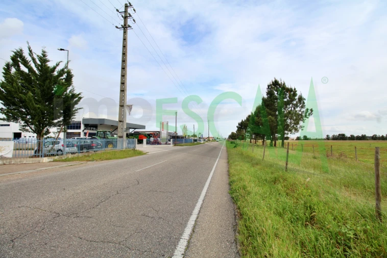 Armazém para Venda em Salvaterra de Magos e Foros de Salvaterra Foto 51