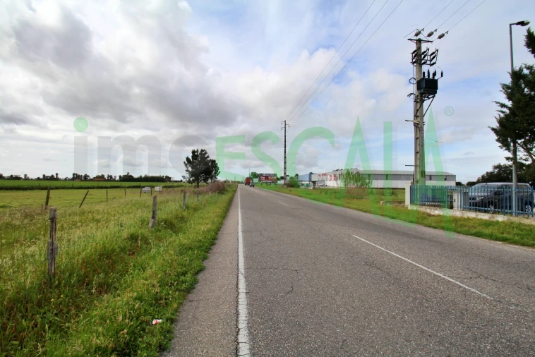 Armazém para Venda em Salvaterra de Magos e Foros de Salvaterra Foto 50