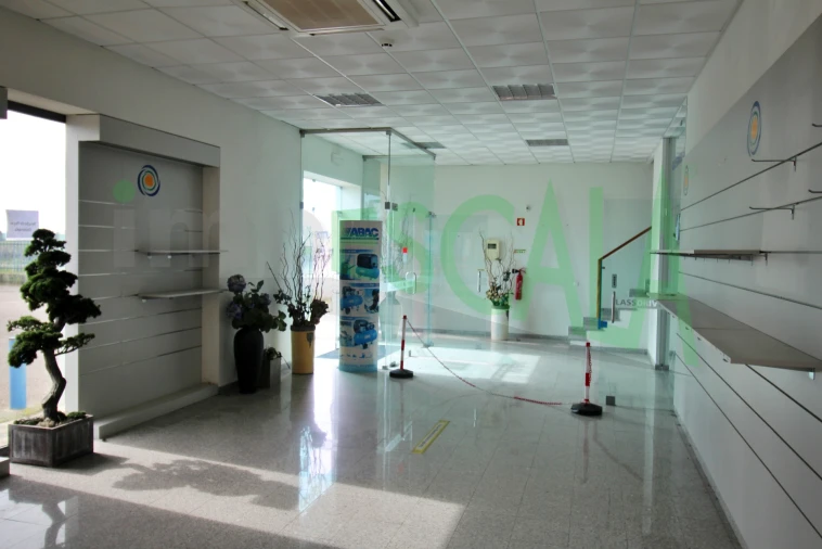 Armazém para Venda em Salvaterra de Magos e Foros de Salvaterra Foto 7