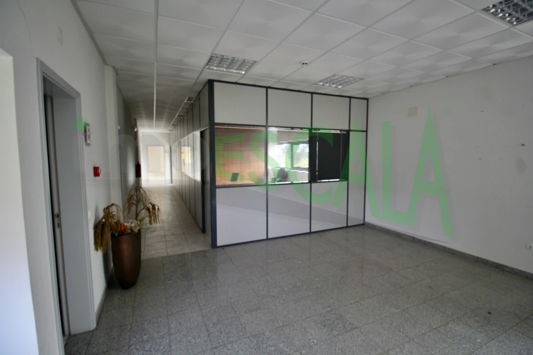 Armazém para Venda em Salvaterra de Magos e Foros de Salvaterra Foto 18