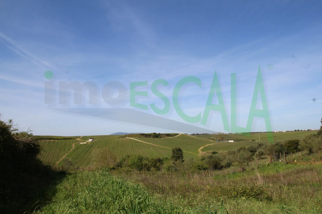 Terreno para Venda em Manique do Intendente, Vila Nova de São Pedro e Maçussa Foto 16