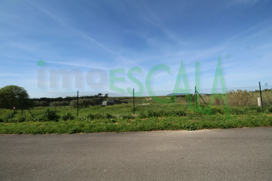 Terreno para Venda em Manique do Intendente, Vila Nova de São Pedro e Maçussa Foto 5