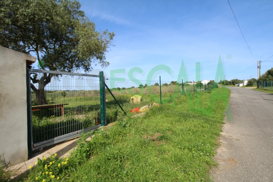 Terreno para Venda em Manique do Intendente, Vila Nova de São Pedro e Maçussa Foto 29