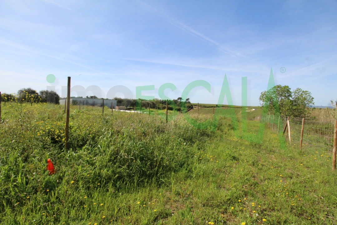 Terreno para Venda em Manique do Intendente, Vila Nova de São Pedro e Maçussa Foto 6