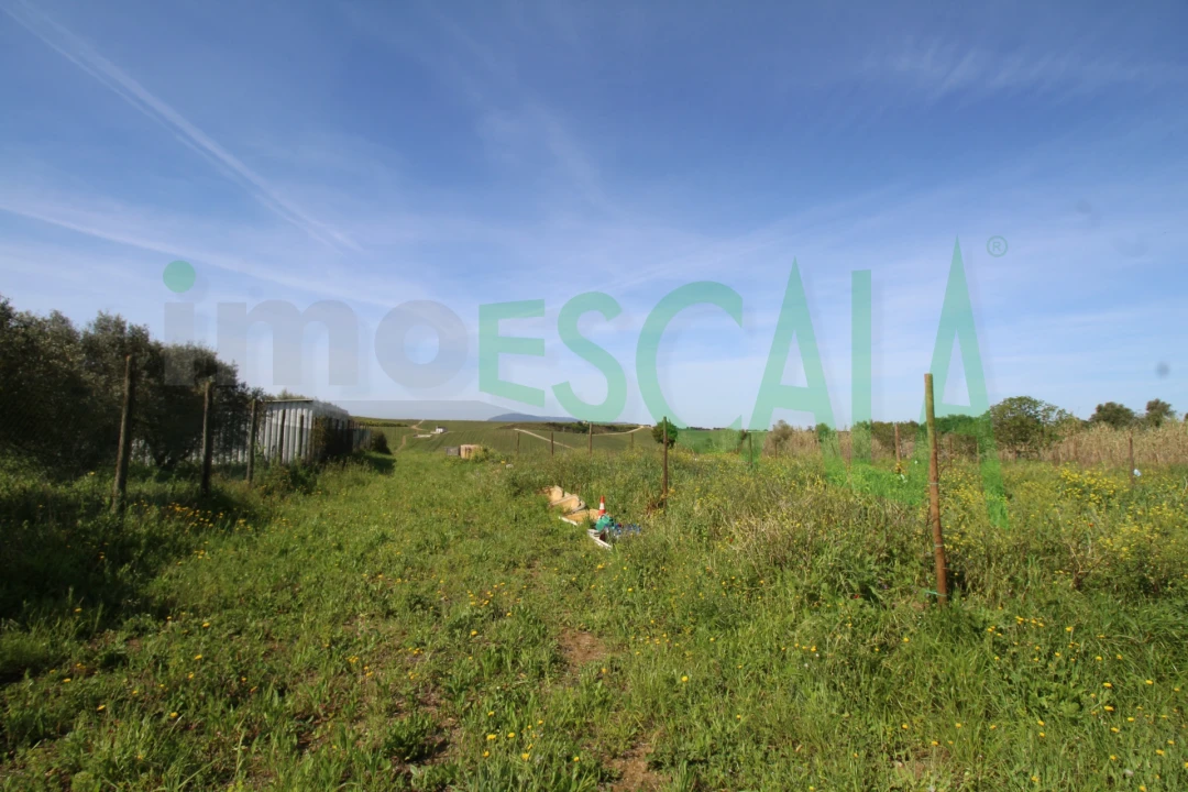 Terreno para Venda em Manique do Intendente, Vila Nova de São Pedro e Maçussa Foto 11