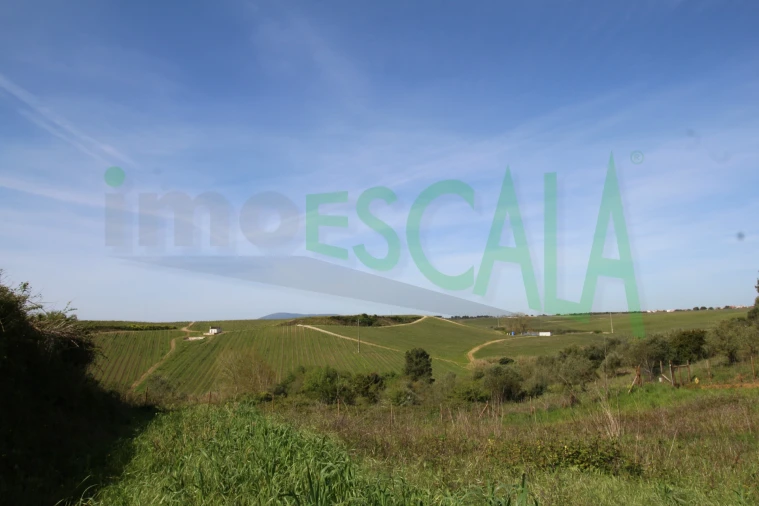 Terreno para Venda em Manique do Intendente, Vila Nova de São Pedro e Maçussa Foto 16