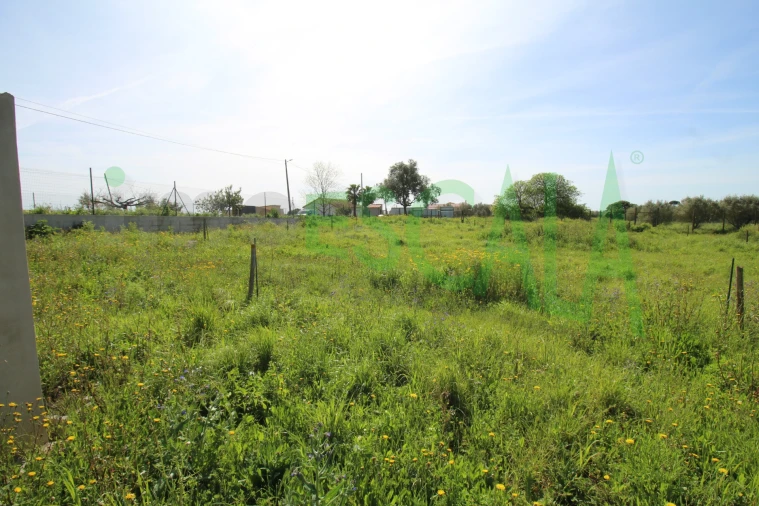 Terreno para Venda em Manique do Intendente, Vila Nova de São Pedro e Maçussa Foto 32