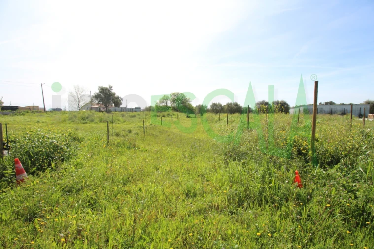 Terreno para Venda em Manique do Intendente, Vila Nova de São Pedro e Maçussa Foto 7
