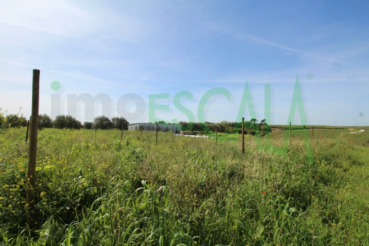 Terreno para Venda em Manique do Intendente, Vila Nova de São Pedro e Maçussa Foto 9