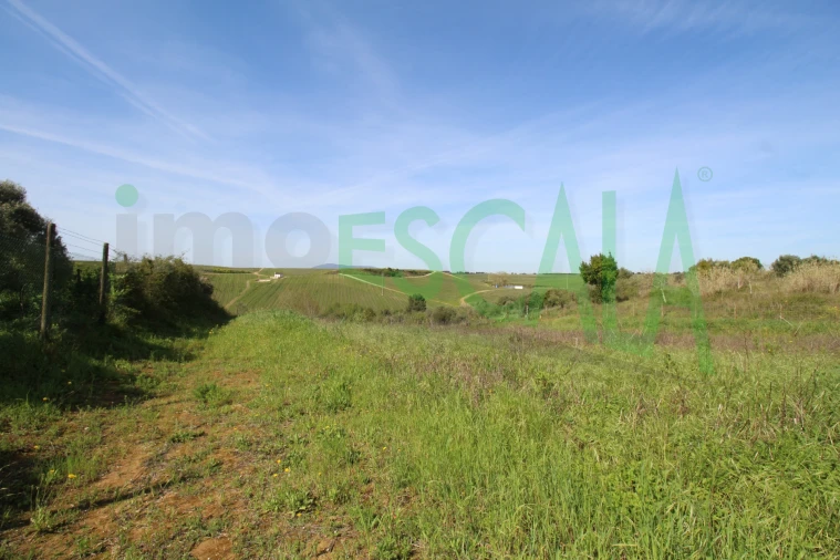 Terreno para Venda em Manique do Intendente, Vila Nova de São Pedro e Maçussa Foto 15