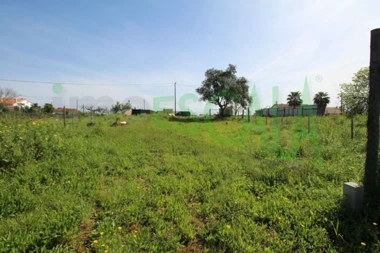 Terreno para Venda em Manique do Intendente, Vila Nova de São Pedro e Maçussa Foto 10