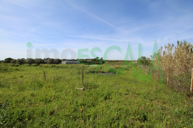 Terreno para Venda em Manique do Intendente, Vila Nova de São Pedro e Maçussa Foto 31