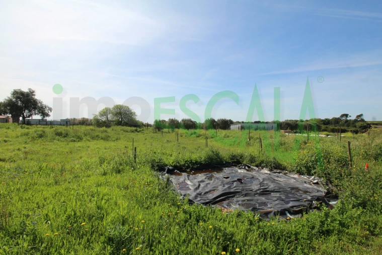 Terreno para Venda em Manique do Intendente, Vila Nova de São Pedro e Maçussa Foto 13