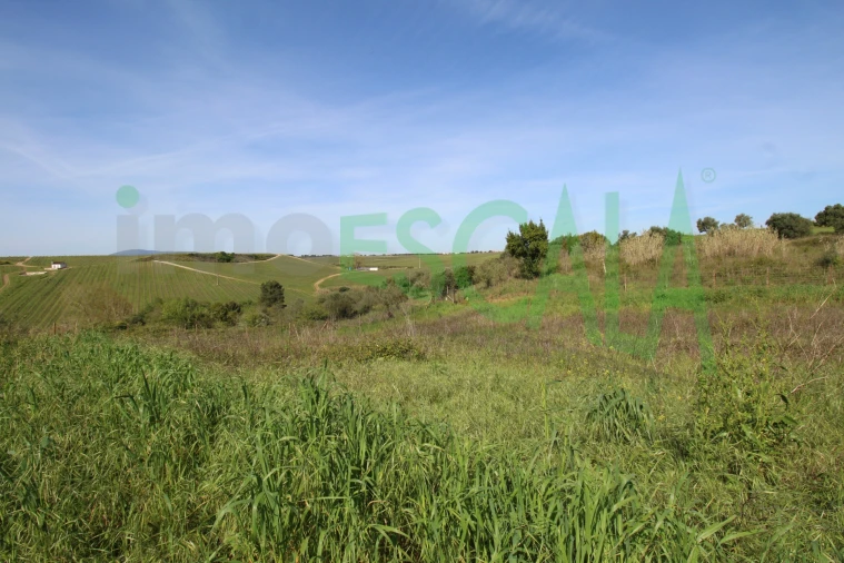 Terreno para Venda em Manique do Intendente, Vila Nova de São Pedro e Maçussa Foto 17