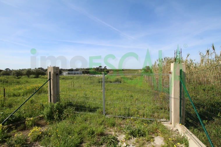 Terreno para Venda em Manique do Intendente, Vila Nova de São Pedro e Maçussa Foto 30