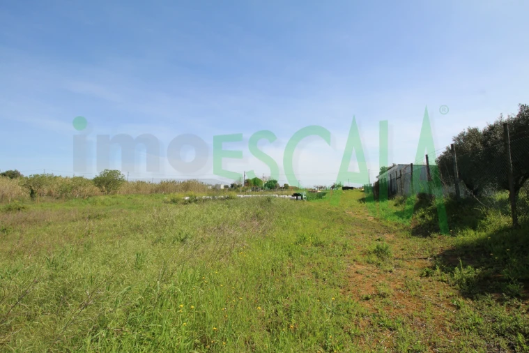 Terreno para Venda em Manique do Intendente, Vila Nova de São Pedro e Maçussa Foto 19