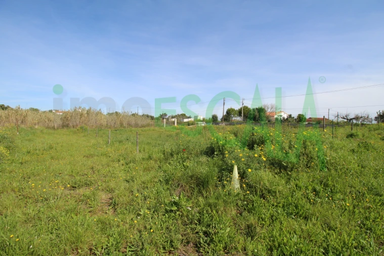 Terreno para Venda em Manique do Intendente, Vila Nova de São Pedro e Maçussa Foto 12