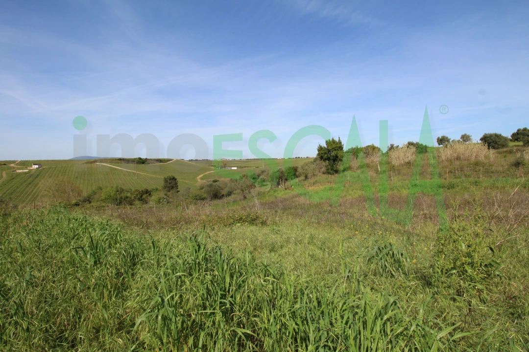 Terreno para Venda em Manique do Intendente, Vila Nova de São Pedro e Maçussa Foto 17