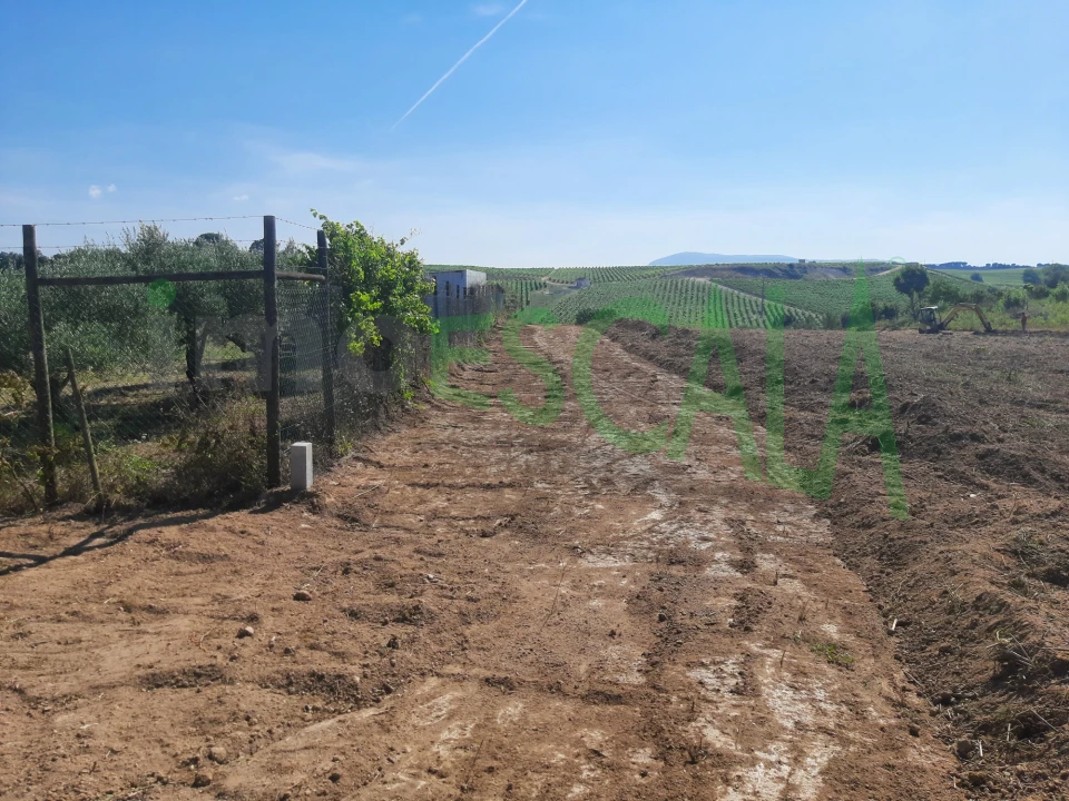 Terreno para Venda em Manique do Intendente, Vila Nova de São Pedro e Maçussa Foto 22