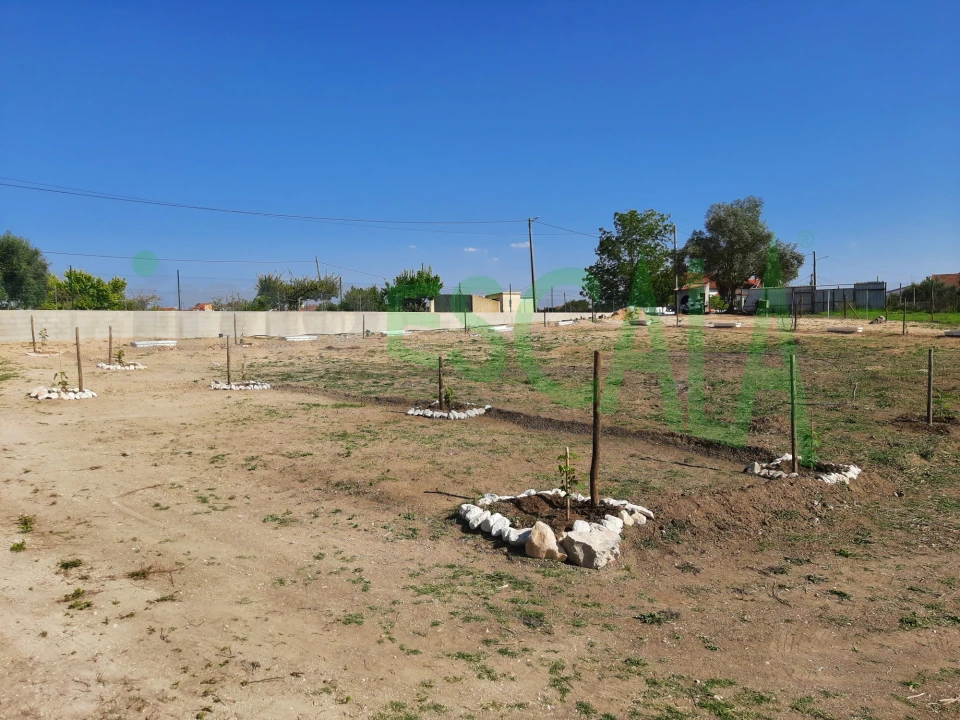 Terreno para Venda em Manique do Intendente, Vila Nova de São Pedro e Maçussa Foto 26