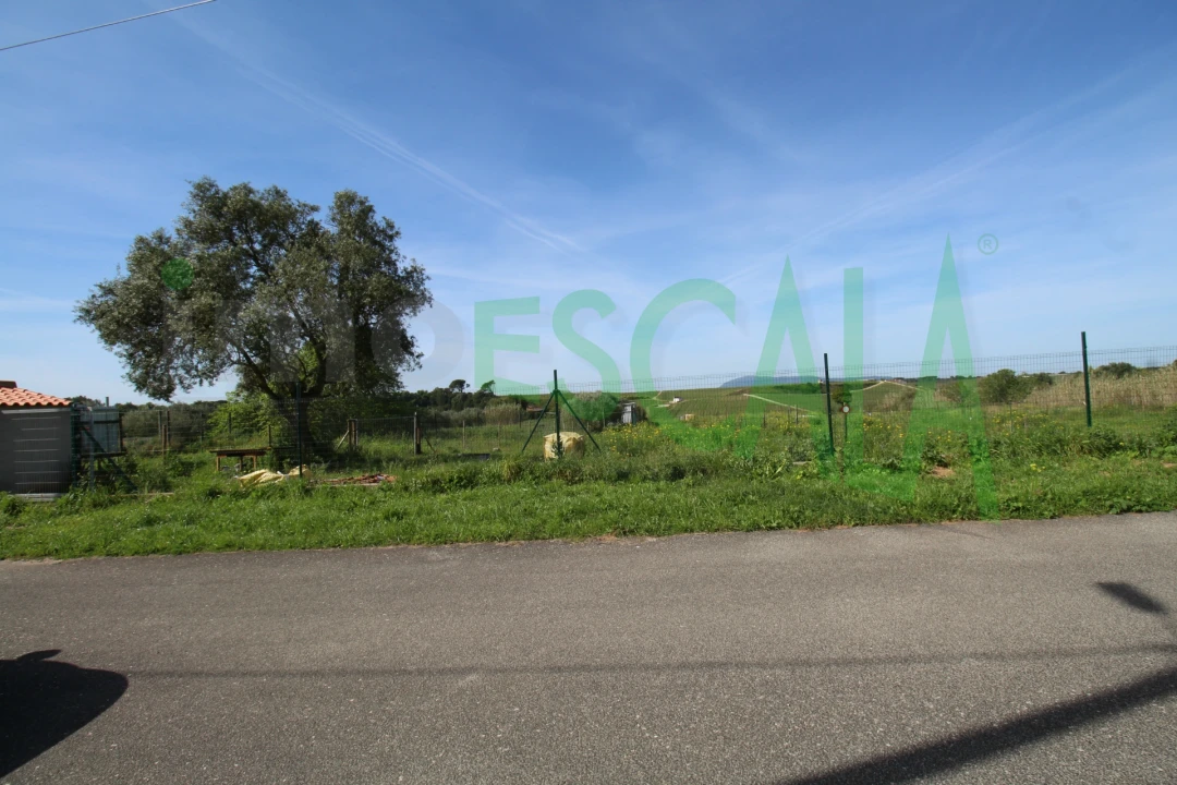 Terreno para Venda em Manique do Intendente, Vila Nova de São Pedro e Maçussa Foto 3