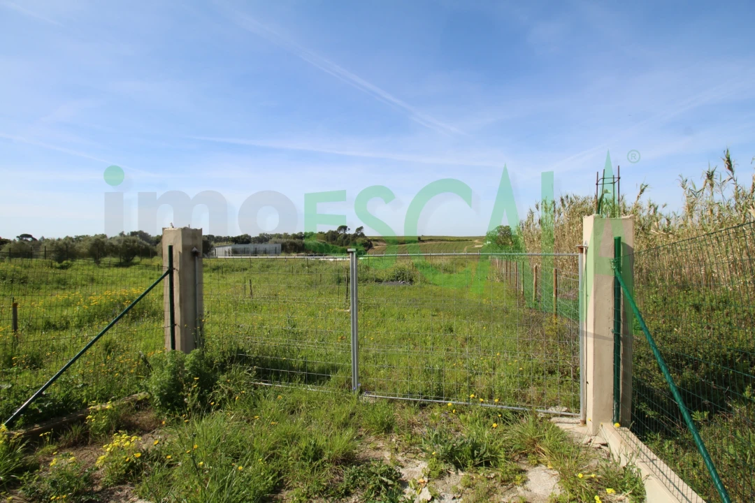 Terreno para Venda em Manique do Intendente, Vila Nova de São Pedro e Maçussa Foto 30