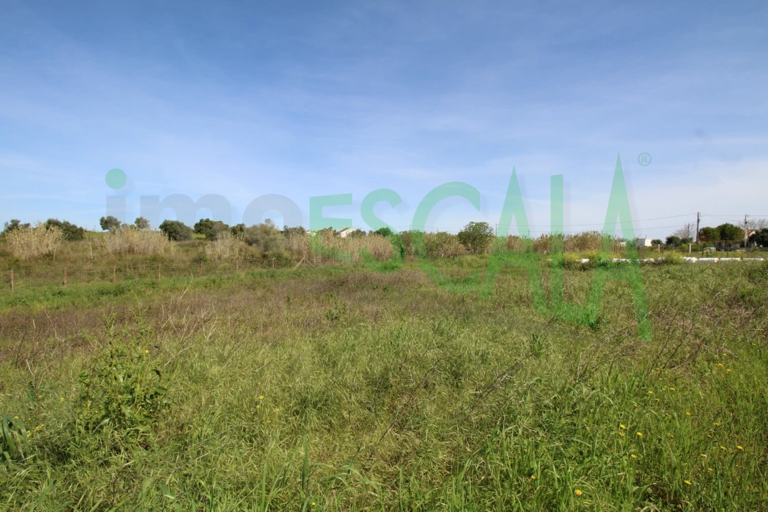 Terreno para Venda em Manique do Intendente, Vila Nova de São Pedro e Maçussa Foto 18