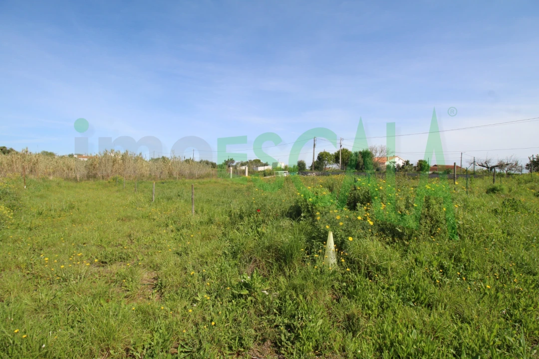 Terreno para Venda em Manique do Intendente, Vila Nova de São Pedro e Maçussa Foto 12