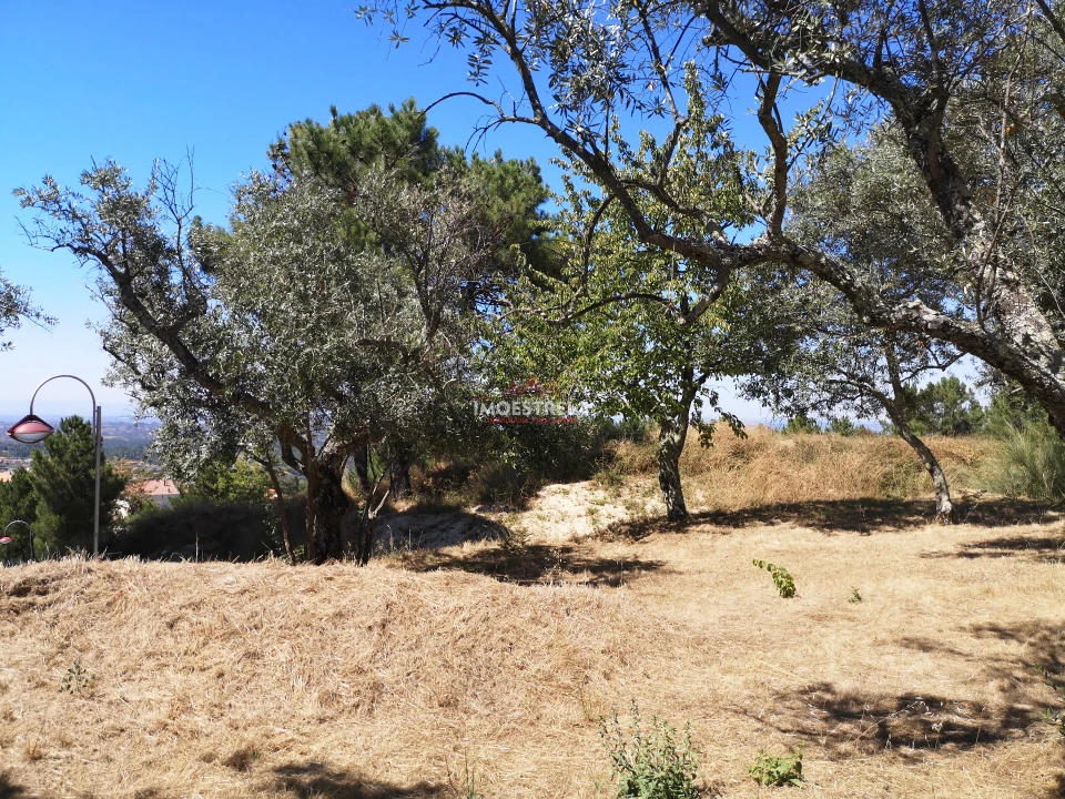 Terreno para Venda em Seia, São Romão e Lapa dos Dinheiros Foto 1